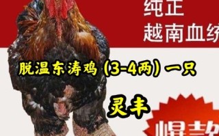 南宁顺丰快递网点具体分布在哪？