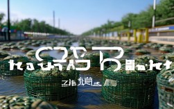 洪泽大闸蟹养殖，洪泽大闸蟹养殖基地