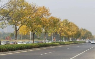 2025邮政报刊订阅何时开启？