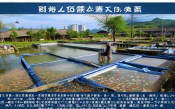 湖北孝感附近渔业养殖户，湖北孝感附近渔业养殖户有哪些