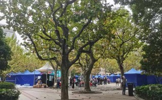 中国邮政报刊网上订阅怎么操作？