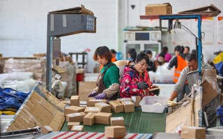 南坪邮政递送组具体服务范围是？