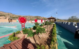 中通龙亭区西郊乡有何动态或问题？