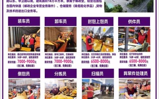 洛阳圆通招聘信息哪里查？