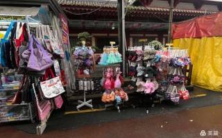 新加坡顺丰快递牛车水服务怎么样？