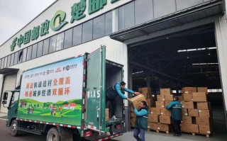 中国邮政物流服务项目有哪些优势？