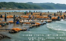 海丰渔业养殖待遇，海丰渔业养殖待遇怎么样