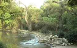 云南新增四例本土病例，云南新增四例本土病例是哪里的