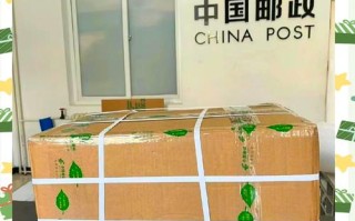 EMS邮政中国邮政速递有何区别？