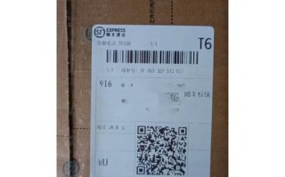 顺丰快递有单号没物流