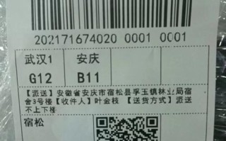 中通快运官网怎么查单号？