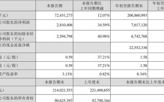 顺丰物流公司财务报表