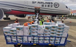 顺丰大型客户发货系统有何独特优势？