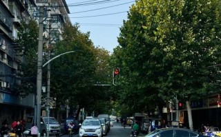 张江中通为何选址盛夏路？