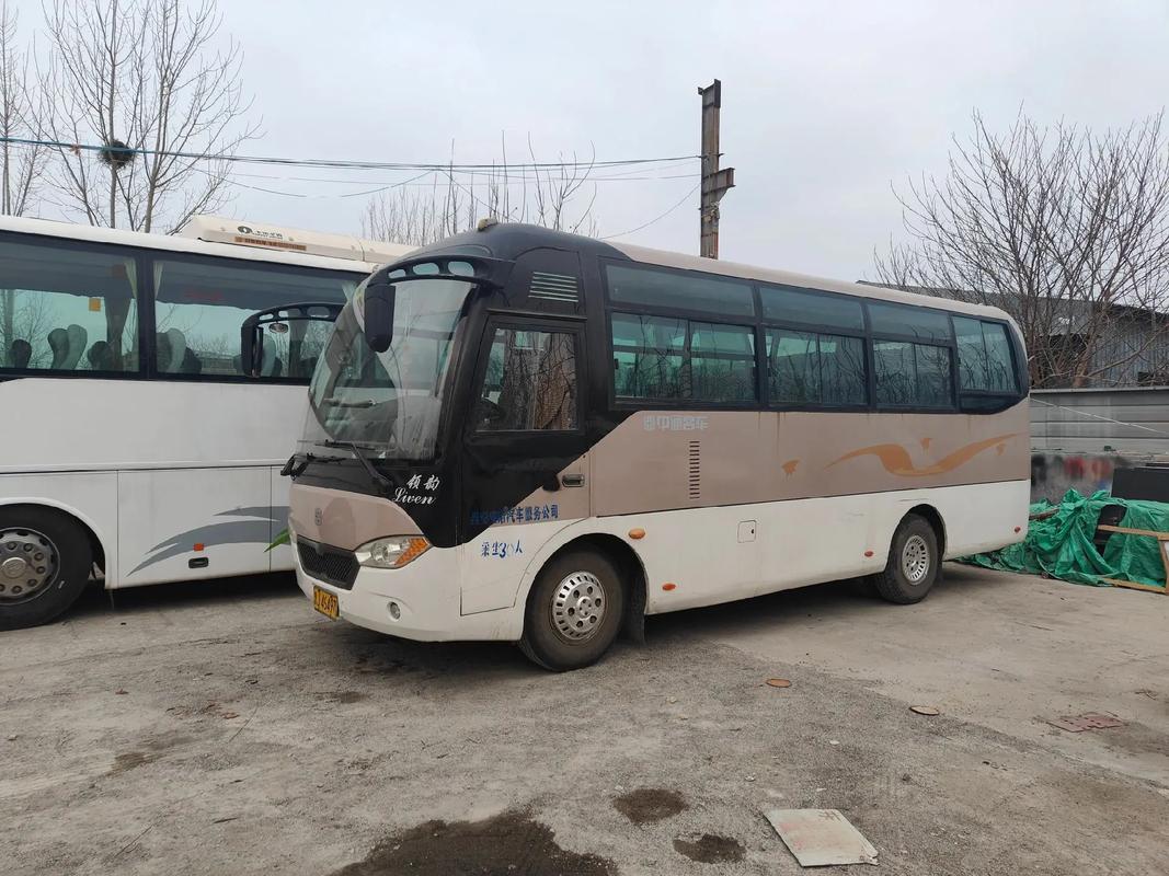 中通31080007是什么?-第1张图片-陕西物流货运 中通31080007是什么?-第1张图片-陕西物流货运