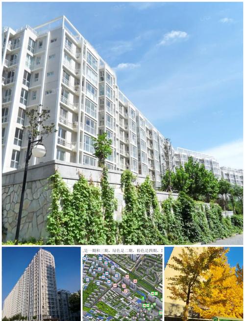 回龙观圆通怎么了？-第2张图片-陕西物流货运