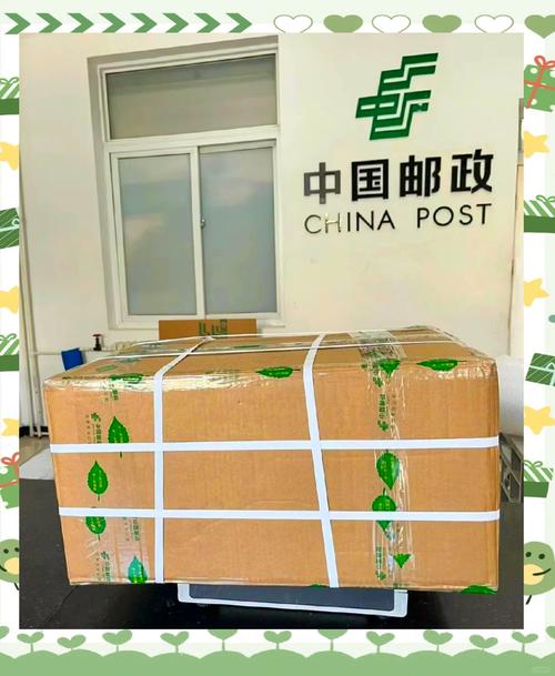 邮政快递包裹有何特殊之处?-第1张图片-陕西物流货运 邮政快递包裹有何特殊之处?-第1张图片-陕西物流货运