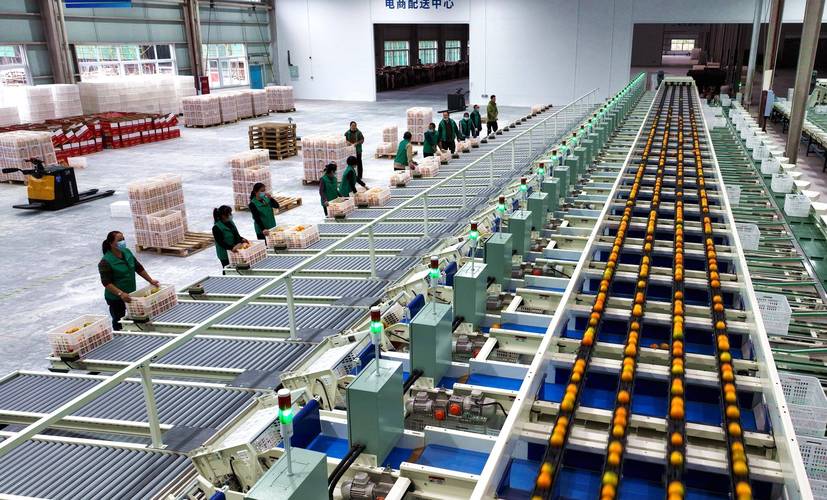 仁寿邮政速递物流分公司有何服务优势?-第3张图片-陕西物流货运 仁寿邮政速递物流分公司有何服务优势?-第3张图片-陕西物流货运