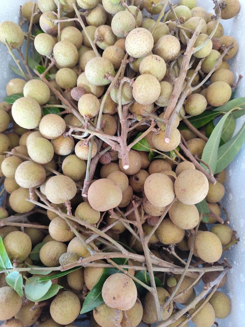 顺丰快递荔枝,如何保鲜又快速?-第2张图片-陕西物流货运 顺丰快递荔枝,如何保鲜又快速?-第2张图片-陕西物流货运