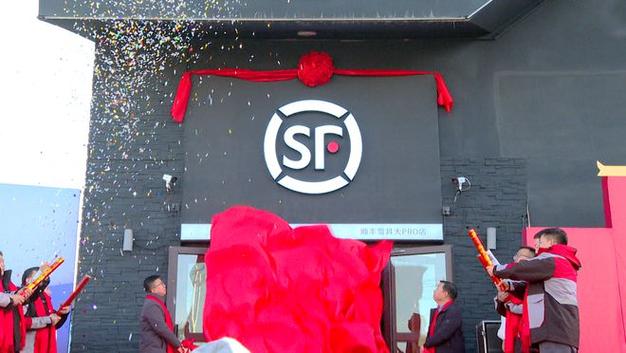 广东省雷州市顺丰快递-第1张图片-陕西物流货运