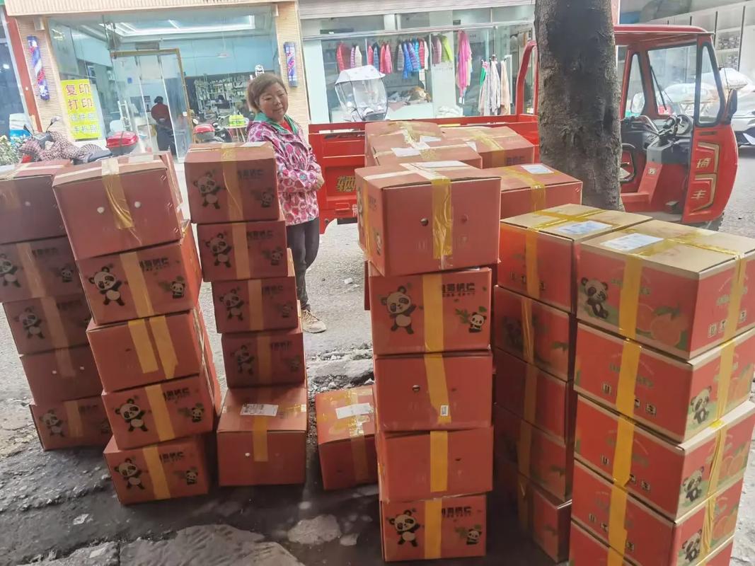 申通快递圆通中通快递-第2张图片-陕西物流货运 申通快递圆通中通快递-第2张图片-陕西物流货运