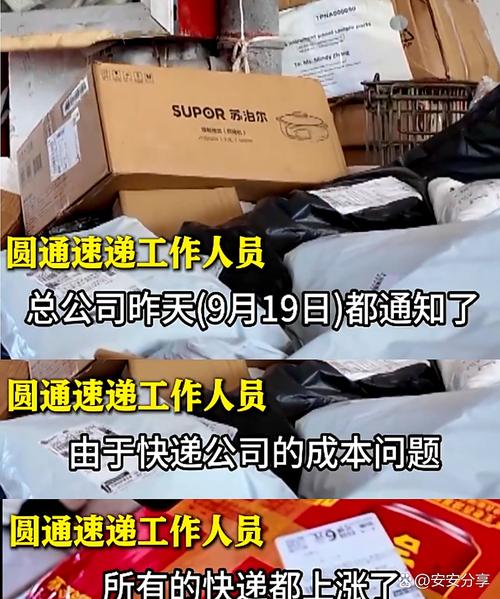 三通2025,快递业格局将如何变?-第1张图片-陕西物流货运 三通2025,快递业格局将如何变?-第1张图片-陕西物流货运