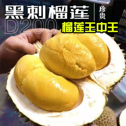 马来西亚槟城顺丰电话是多少？-第3张图片-陕西物流货运