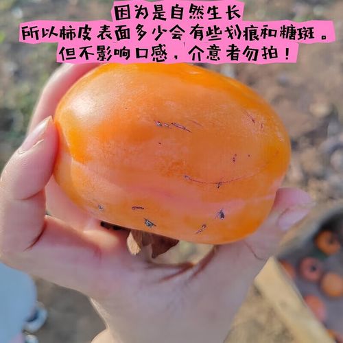 房山良乡顺丰快递点具体位置在哪?-第2张图片-陕西物流货运 房山良乡顺丰快递点具体位置在哪?-第2张图片-陕西物流货运