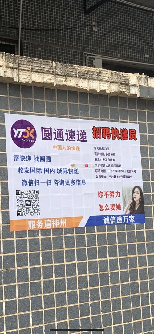 晋江圆通快递招啥岗位？待遇如何？-第2张图片-陕西物流货运