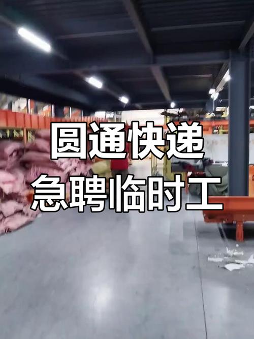 定州圆通快递公司招聘什么岗位？-第1张图片-陕西物流货运