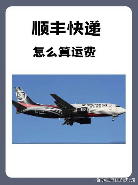 顺丰济南段店快递电话-第3张图片-陕西物流货运