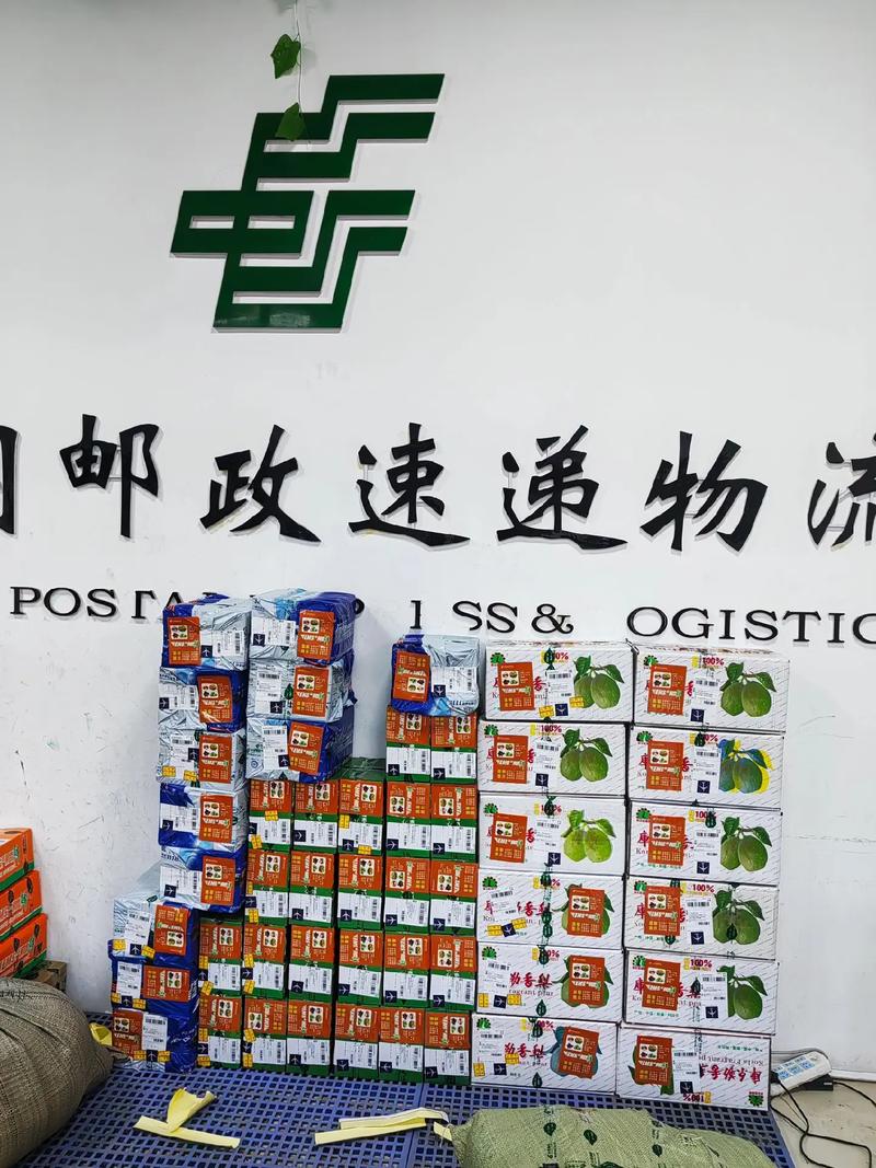 高桥邮政银行邮政快递-第2张图片-陕西物流货运