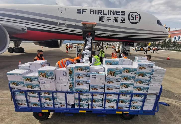 顺丰大型客户发货系统有何独特优势？-第1张图片-陕西物流货运