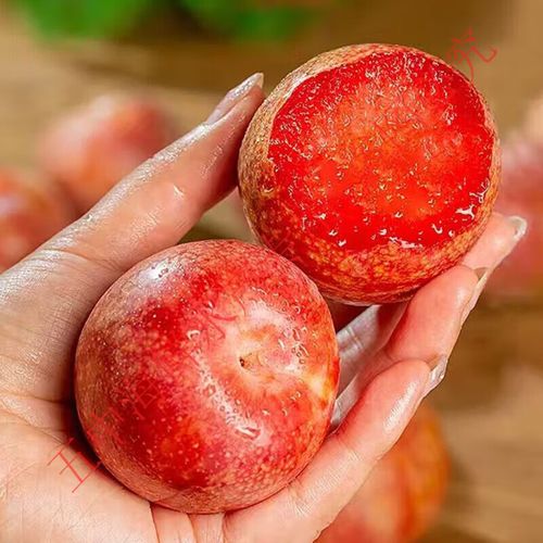 喀什到乌鲁木齐顺丰运费多少钱？-第3张图片-陕西物流货运