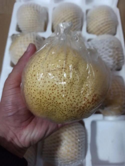 邮政快递包裹打印模版-第2张图片-陕西物流货运