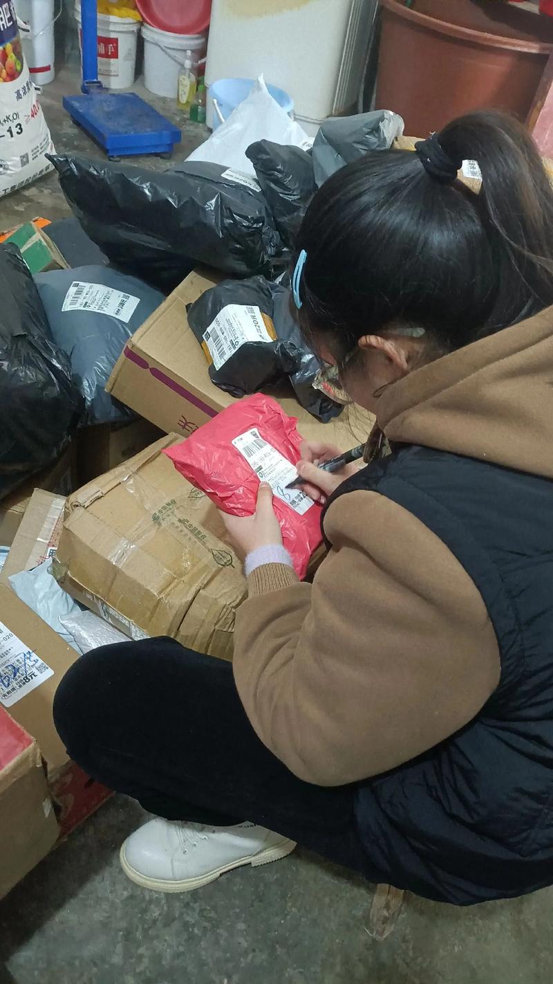 太原晋源区邮政快递服务怎么样?-第1张图片-陕西物流货运 太原晋源区邮政快递服务怎么样?-第1张图片-陕西物流货运