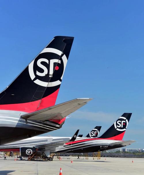 青海西宁顺丰快递有何服务特色？-第2张图片-陕西物流货运