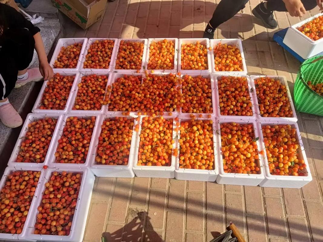 威海邮政快递樱桃电话是多少？-第1张图片-陕西物流货运