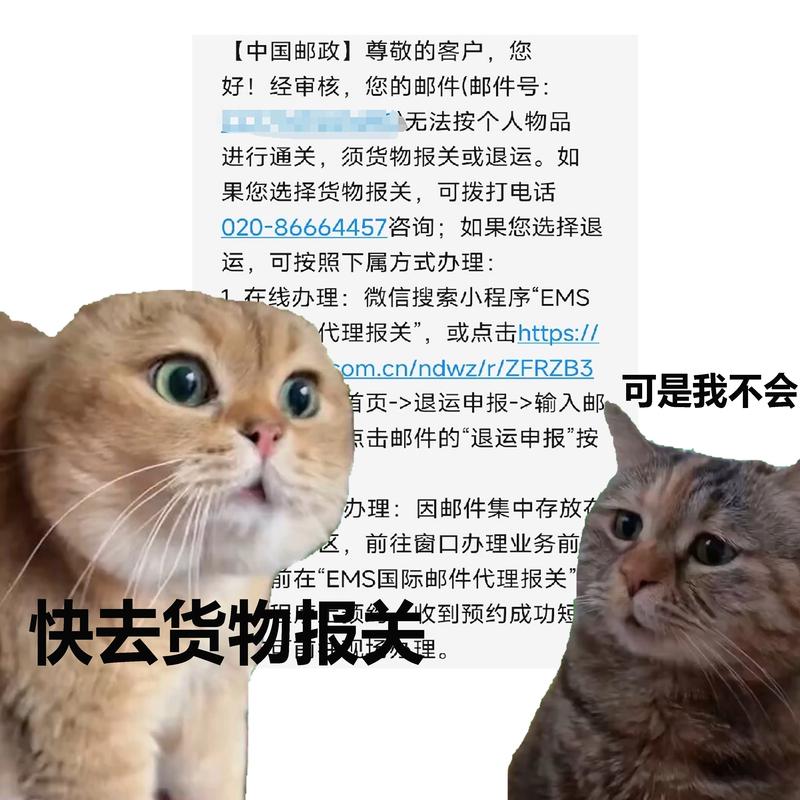 中国邮政网上代理报关怎么操作？-第2张图片-陕西物流货运