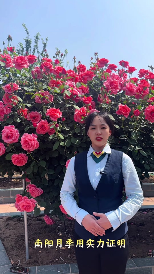 乌鲁木齐邮政礼仪鲜花如何选购？-第2张图片-陕西物流货运