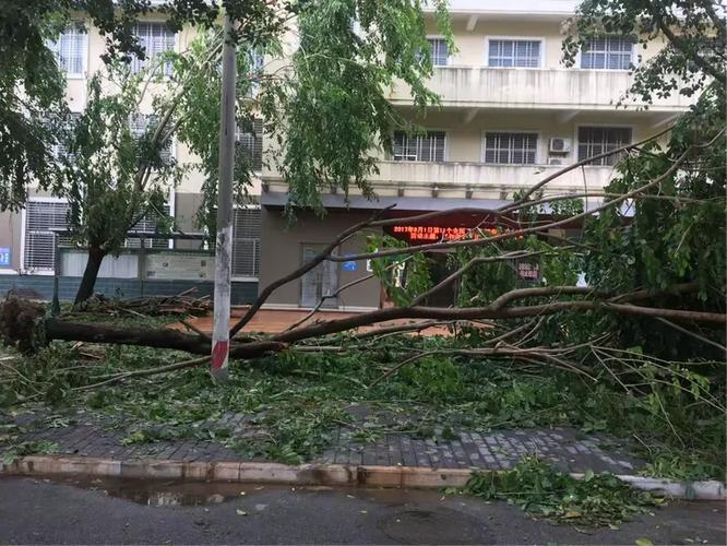 三亚市荔枝沟邮政电话-第2张图片-陕西物流货运