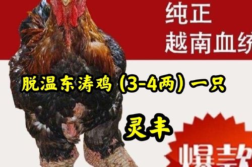 南宁顺丰快递网点具体分布在哪？-第1张图片-陕西物流货运