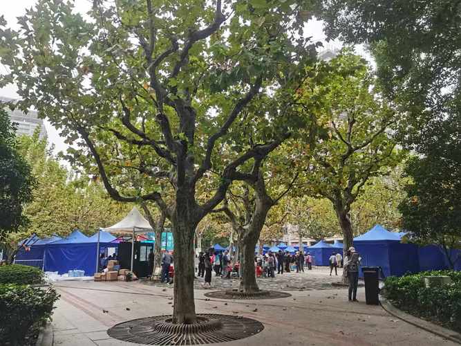 中国邮政报刊网上订阅怎么操作？-第1张图片-陕西物流货运