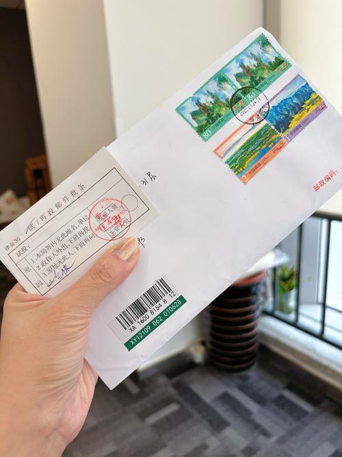 上海邮政挂号信怎么查？-第3张图片-陕西物流货运