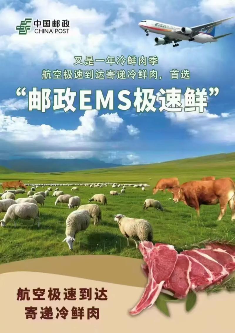 邮政包裹快递业务改革，改什么？-第3张图片-陕西物流货运