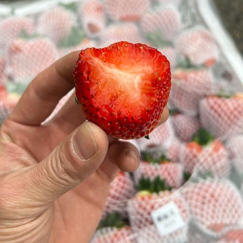 顺丰成都地址电话怎么查？-第2张图片-陕西物流货运