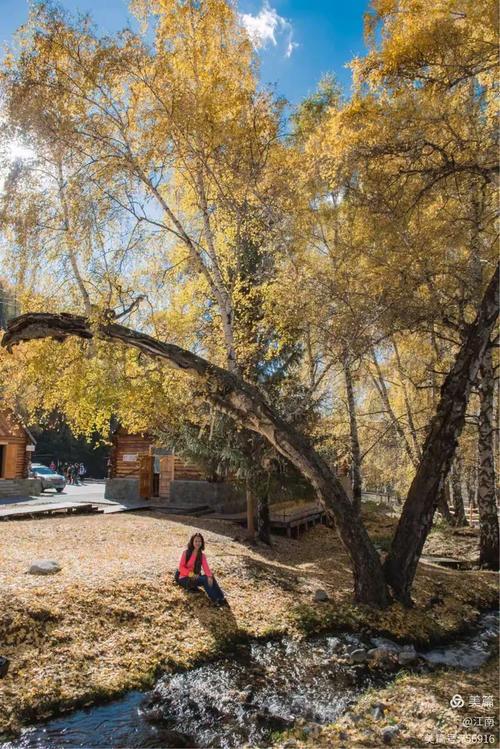 阿勒泰地区邮政编码是多少?-第1张图片-陕西物流货运 阿勒泰地区邮政编码是多少?-第1张图片-陕西物流货运